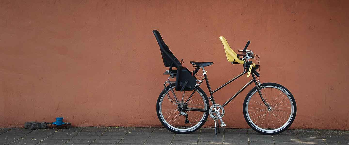 my family bike with 2 bike child seat